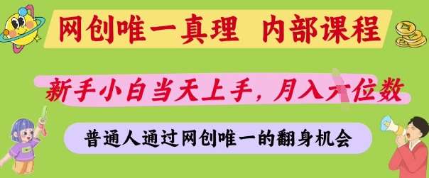 网创唯一真理，内部课程，新手小白当天上手，月入5位数，普通人通过网创唯一的机会【揭秘】-三石资源库
