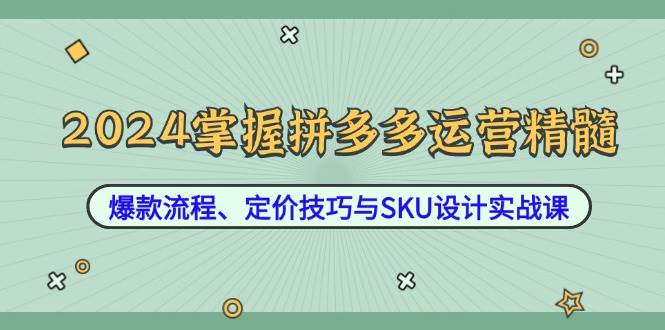 （12703期）2024掌握拼多多运营精髓：爆款流程、定价技巧与SKU设计实战课-三石资源库