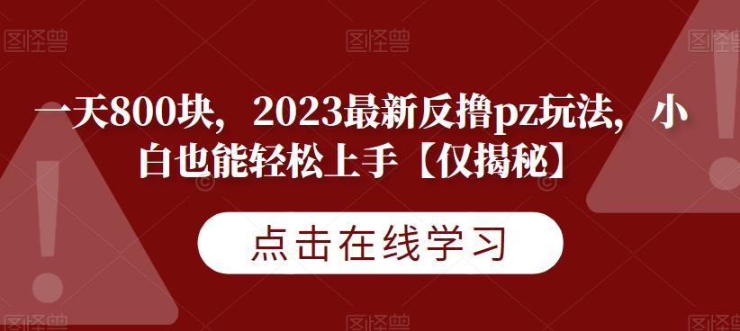 一天800块，2023最新反撸pz玩法，小白也能轻松上手【仅揭秘】-三石资源库