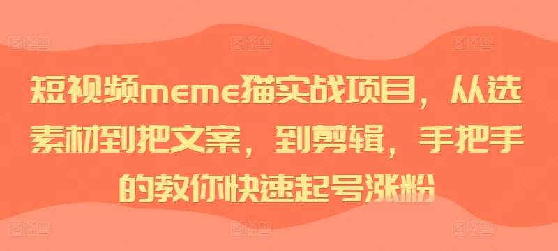 短视频meme猫实战项目，从选素材到把文案，到剪辑，手把手的教你快速起号涨粉-三石资源库
