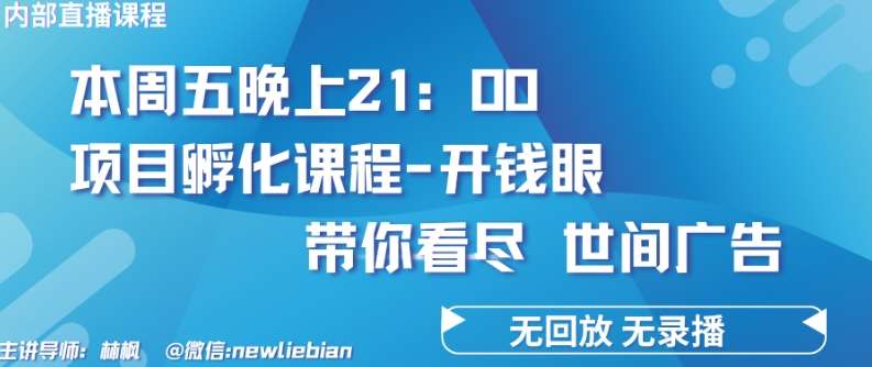4.26日内部回放课程《项目孵化-开钱眼》赚钱的底层逻辑【揭秘】-三石资源库