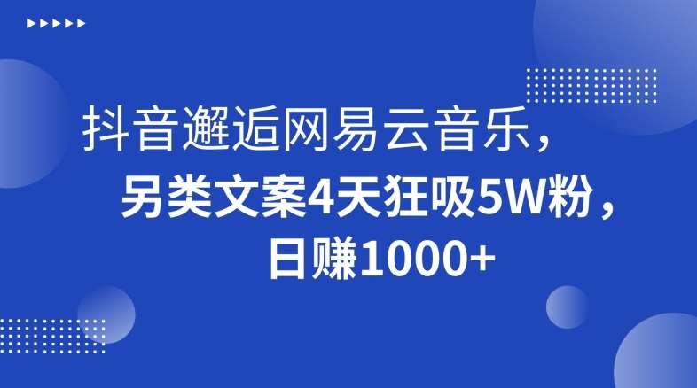 抖音邂逅网易云音乐，另类文案4天狂吸5W粉，日赚1000+【揭秘】-三石资源库