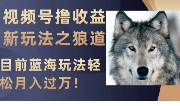 视频号撸收益新玩法之狼道，目前蓝海玩法，轻松月入过万【揭秘】-三石资源库