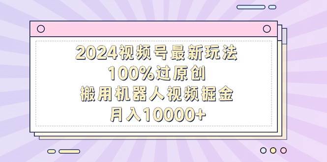 （9151期）2024视频号最新玩法，100%过原创，搬用机器人视频掘金，月入10000+-三石资源库