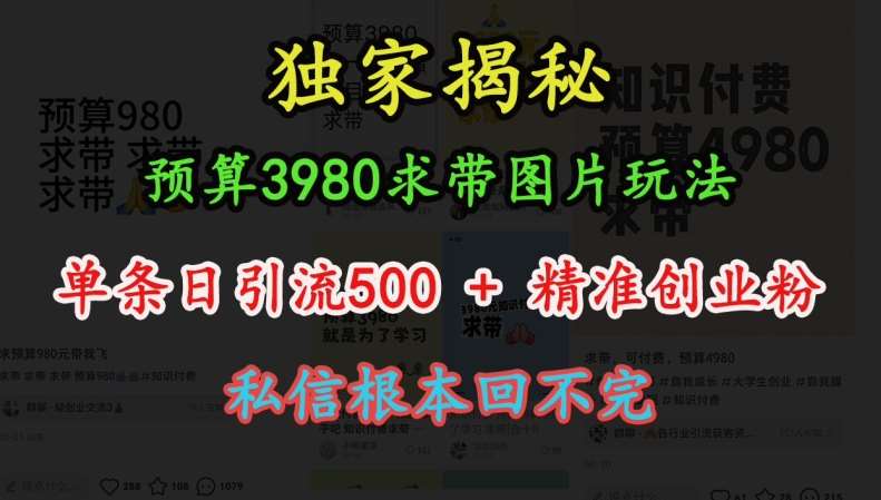 预算3980求带 图片玩法，单条日引流500+精准创业粉，私信根本回不完-三石资源库