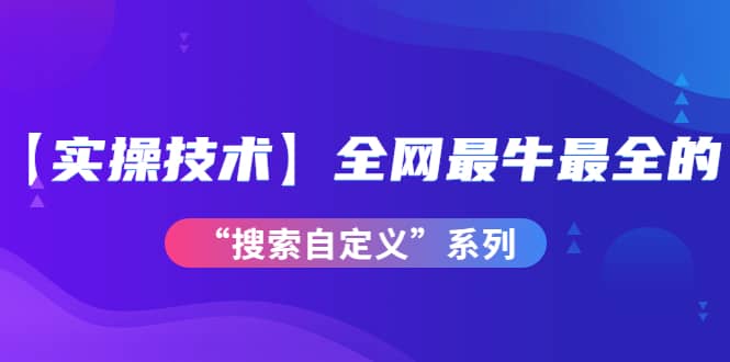 【实操技术】全网最牛最全的“搜索自定义”系列！价值698元-三石资源库