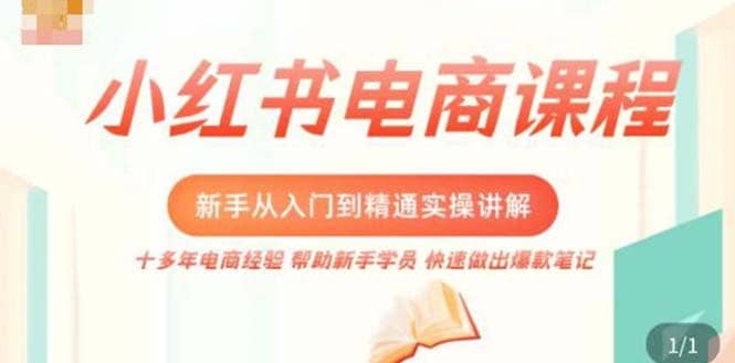 小红书电商新手入门到精通实操课，从入门到精通做爆款笔记，开店运营-三石资源库