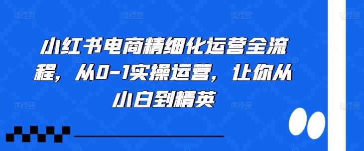 小红书电商精细化运营全流程，从0-1实操运营，让你从小白到精英-三石资源库