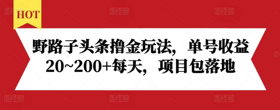 野路子头条撸金玩法，单号收益20~200+每天，项目包落地-三石资源库