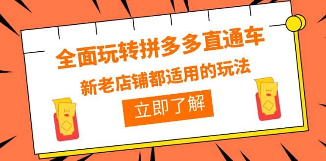 全面玩转拼多多直通车，新老店铺都适用的玩法（12节精华课）-三石淘金网