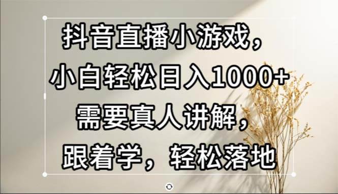 （13075期）抖音直播小游戏，小白轻松日入1000+需要真人讲解，跟着学，轻松落地-三石资源库