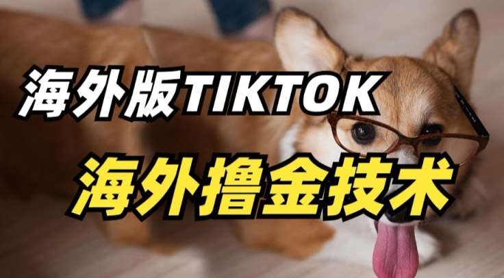 抖音海外版tiktok撸金技术，这个风口行业，赚钱真的不难【揭秘】-三石资源库