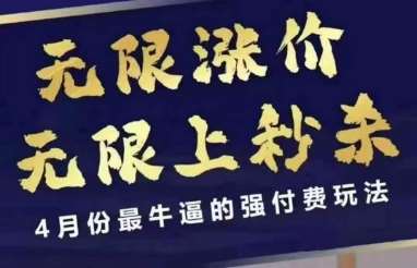 4月12号拼多多线上课，无限涨价，无限上秒杀，4月份最牛逼的强付费玩法-三石资源库