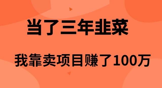（10149期）当了3年韭菜，我靠卖项目赚了100万-三石资源库