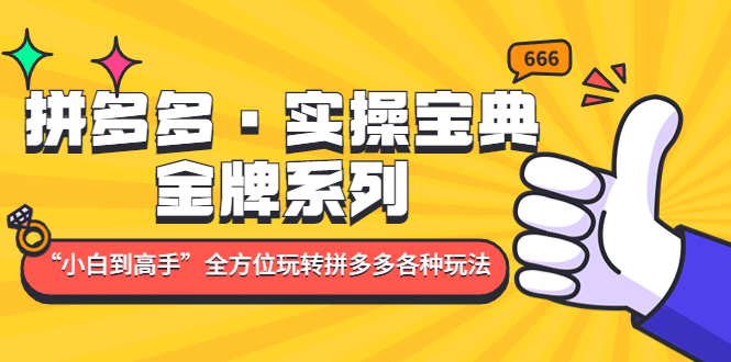 拼多多·实操宝典：金牌系列“小白到高手”带你全方位玩转拼多多各种玩法-三石资源库