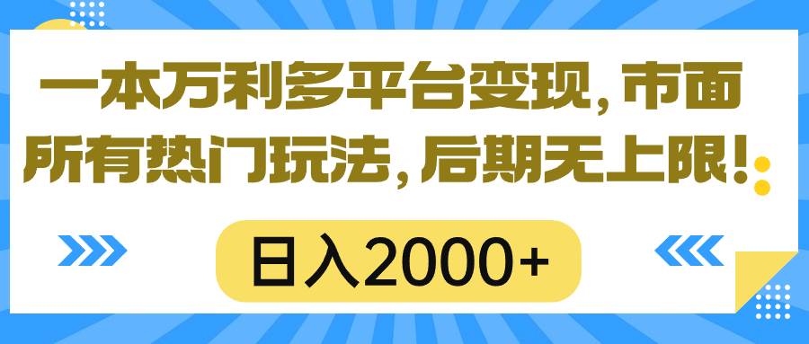 （10311期）一本万利多平台变现，市面所有热门玩法，日入2000+，后期无上限！-三石资源库
