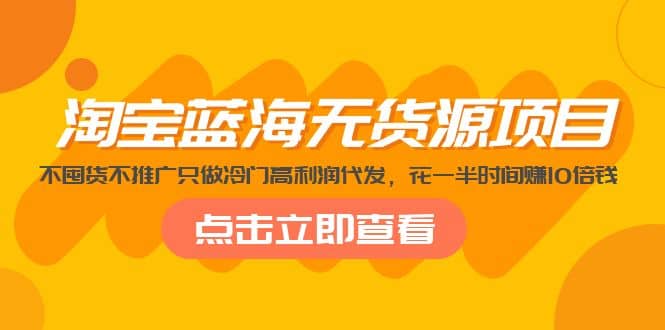 淘宝蓝海无货源项目，不囤货不推广只做冷门高利润代发-三石资源库