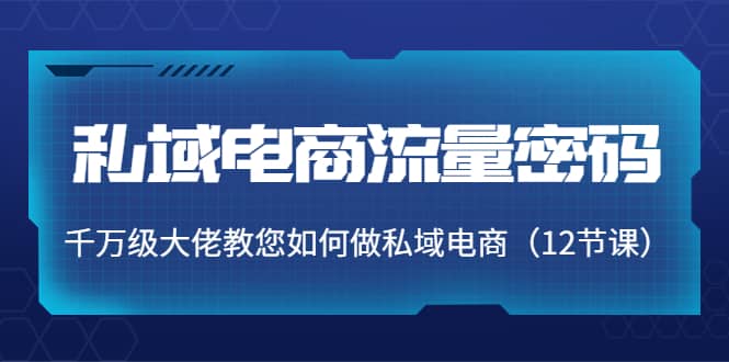 私域电商流量密码：千万级大佬教您如何做私域电商（12节课）-三石资源库