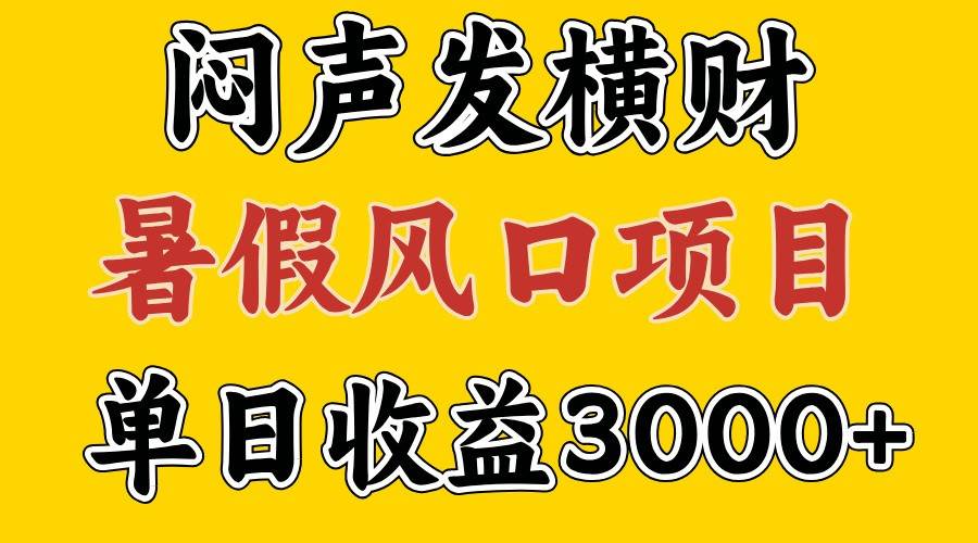 30天赚了7.5W 暑假风口项目，比较好学，2天左右上手-三石淘金网