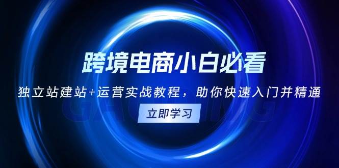 （13503期）跨境电商小白必看！独立站建站+运营实战教程，助你快速入门并精通-三石资源库