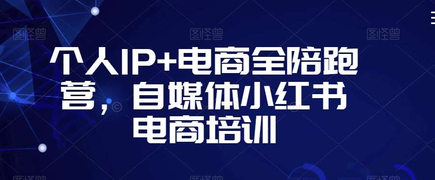 个人IP+电商全陪跑营，自媒体小红书电商培训-三石淘金网