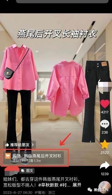 图片[3]-AI图文带货项目：不用出镜，不用拍短视频，不用做直播 就能出单，赚取佣金-三石资源库