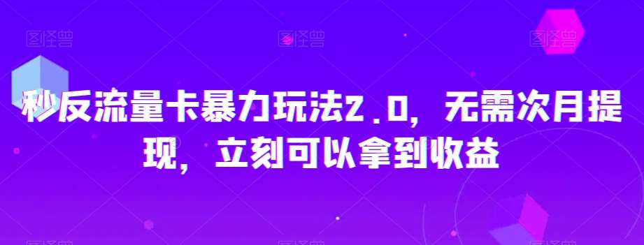 秒反流量卡暴力玩法2.0，无需次月提现，立刻可以拿到收益【揭秘】-三石资源库