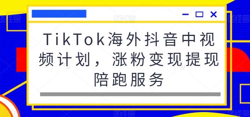 TikTok海外抖音中视频计划，涨粉变现提现陪跑服务-三石资源库