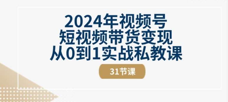 2024年视频号短视频带货变现从0到1实战私教课(31节视频课)-三石资源库