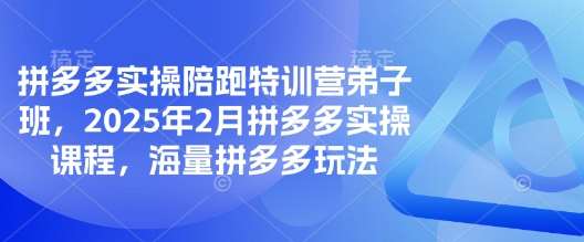 拼多多实操陪跑特训营弟子班，2025年2月拼多多实操课程，海量拼多多玩法-三石资源库