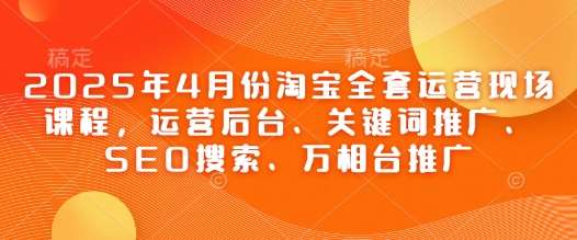 2025年4月份淘宝全套运营现场课程，运营后台、关键词推广、SEO搜索、万相台推广-三石资源库
