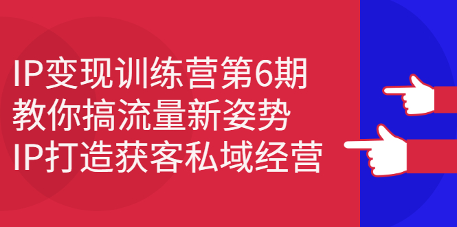 IP变现训练营第6期：教你搞流量新姿势，IP打造获客私域经营-三石资源库