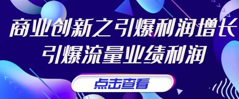《商业创新之引爆利润增长》引爆流量业绩利润-三石资源库