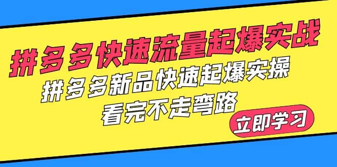 拼多多-快速流量起爆实战，拼多多新品快速起爆实操，看完不走弯路-三石资源库