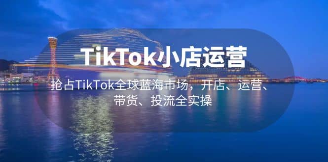 TikTok小店运营 抢占TikTok全球蓝海市场，开店、运营、带货、投流全实操-三石资源库