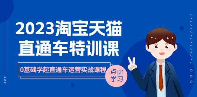 2023淘宝·天猫直通车评特训课，0基础学起直通车运营实战课程（8节课时）-三石资源库