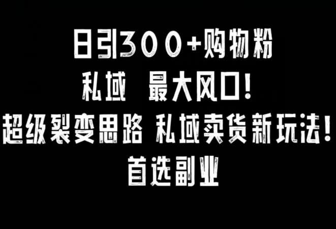 日引300+购物粉，超级裂变思路，私域卖货新玩法，小红书首选副业【揭秘】-三石资源库