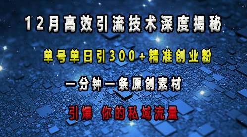 最新高效引流技术深度揭秘 ，单号单日引300+精准创业粉，一分钟一条原创素材，引爆你的私域流量-三石资源库