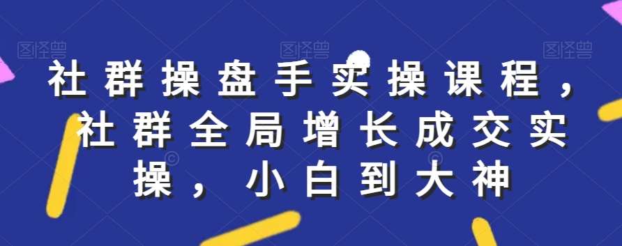 社群实操课程，社群全局增长成交实操，小白到大神-三石淘金网