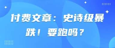 付费文章：史诗级暴跌！要跑吗？-三石资源库