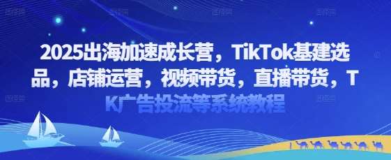 2025出海加速成长营，TikTok基建选品，店铺运营，视频带货，直播带货，TK广告投流等系统教程-三石资源库