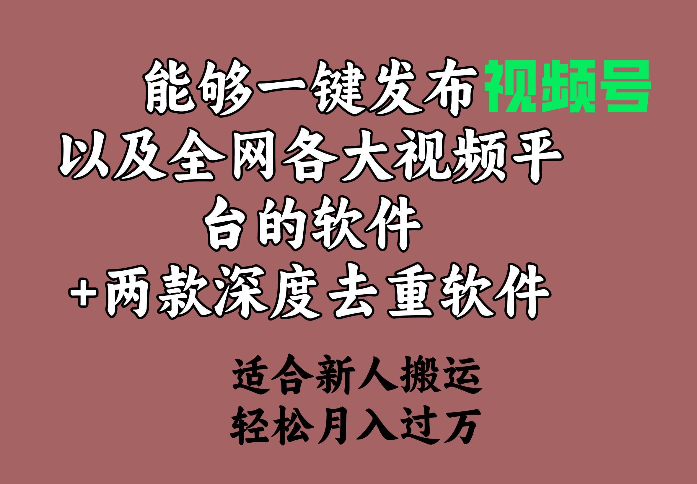 （9319期）能够一键发布视频号以及全网各大视频平台的软件+两款深度去重软件 适合…-三石资源库