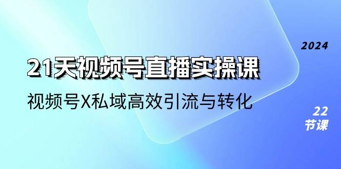 21天视频号直播实操课，视频号X私域高效引流与转化（22节课）-三石淘金网