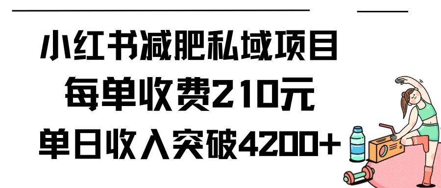 （9466期）小红书减肥私域项目每单收费210元单日成交20单，最高日入4200+-三石资源库