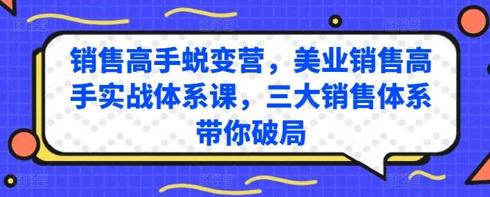 销售高手蜕变营，美业销售高手实战体系课，三大销售体系带你破局-三石资源库