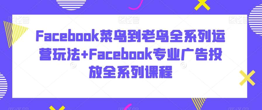 Facebook菜鸟到老鸟全系列运营玩法+Facebook专业广告投放全系列课程-三石资源库
