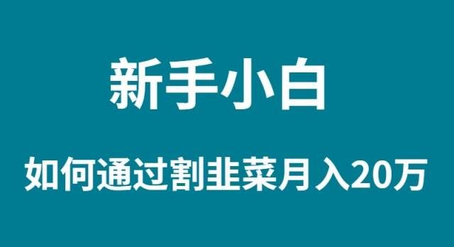 （9308期）新手小白如何通过割韭菜月入 20W-三石资源库