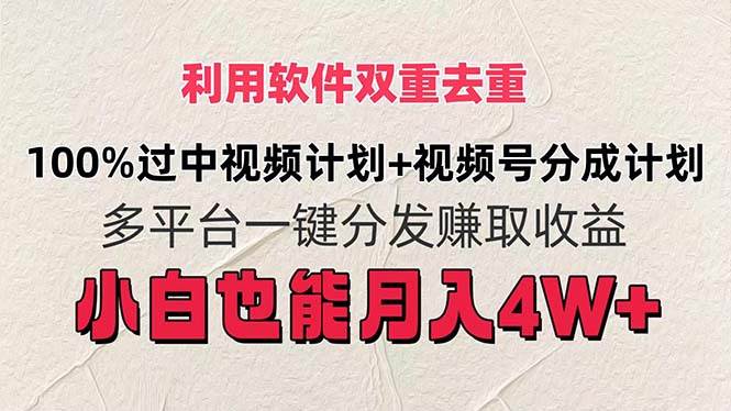 （11862期）利用软件双重去重，100%过中视频+视频号分成计划小白也可以月入4W+-三石资源库