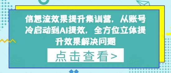 信息流效果提升集训营，从账号冷启动到AI提效，全方位立体提升效果解决问题-三石淘金网