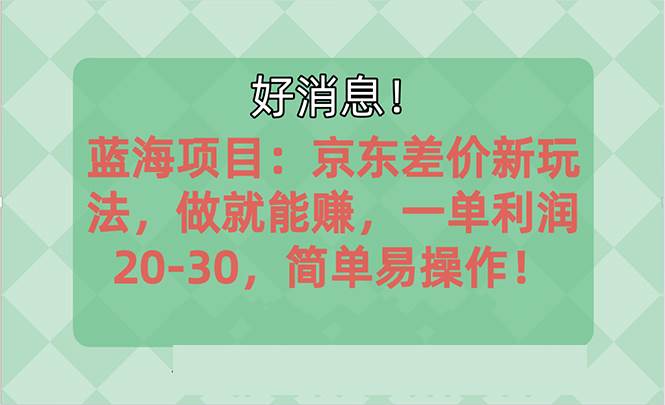 （10989期）越早知道越能赚到钱的蓝海项目：京东大平台操作，一单利润20-30，简单...-三石资源库